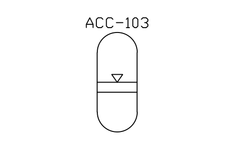 符号 Accumulator, piston, gas loaded 的预览，块名 PPD_X6651_ACC_PISTON