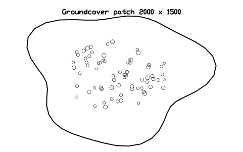 Preview of the Groundcover patch 2000 x 1500 symbol, block LAN_GROUNDCOVER_2000X1500